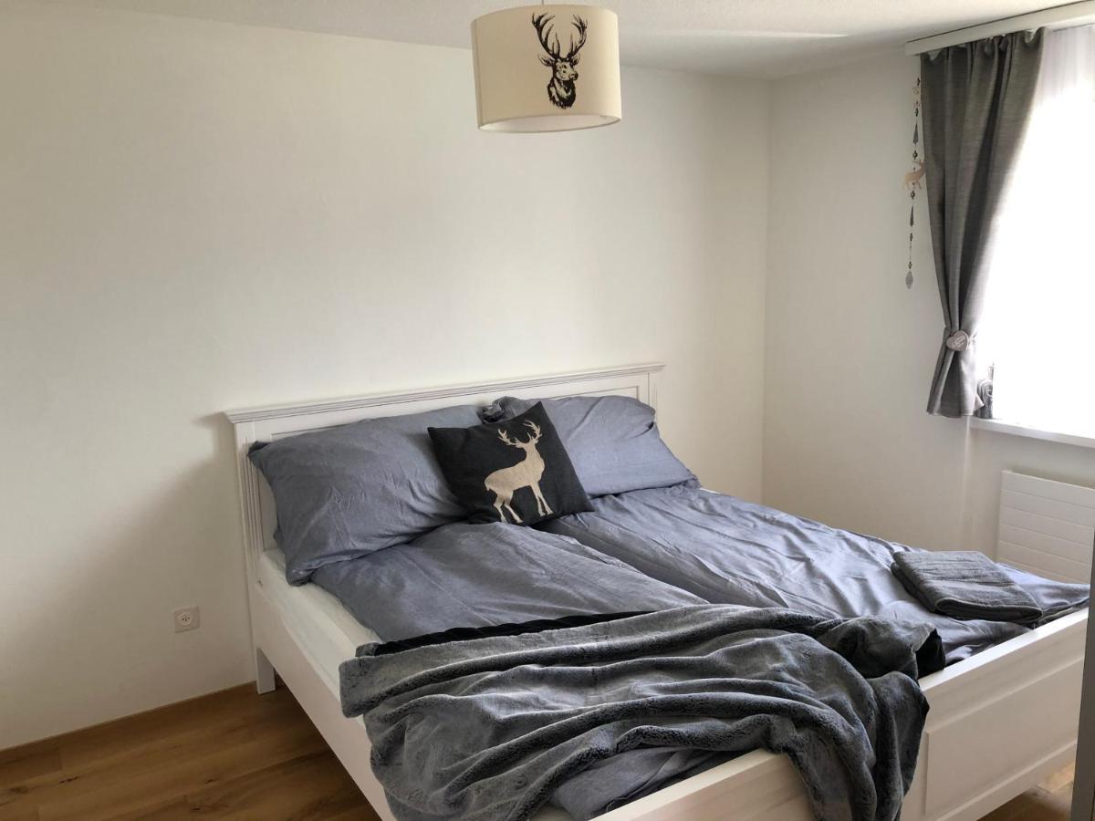 Renovated 3 Rooms Apartment In Ruschein Near Laax Esterno foto